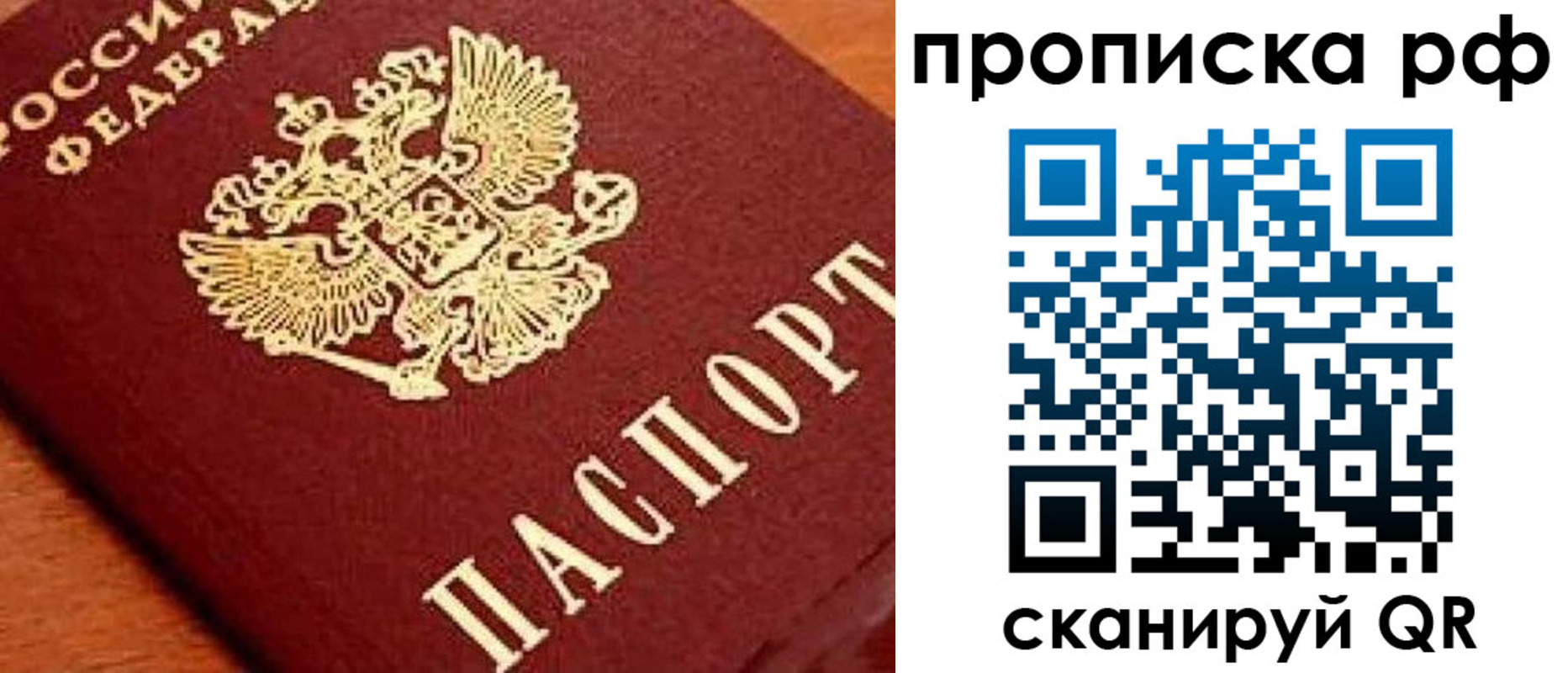 прописка законно в Клинцах
